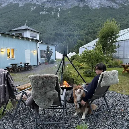 Glamping - Telt 4 Vakker Glampingplass Med Landlig - Midt I Ren Og Gronn * Valldal